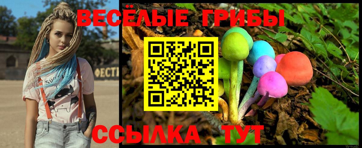 Псилоцибиновые грибы прущие грибы  Псилоцибиновые грибы прущие грибы  сколько стоит  Вход с VPN  Бугульма 